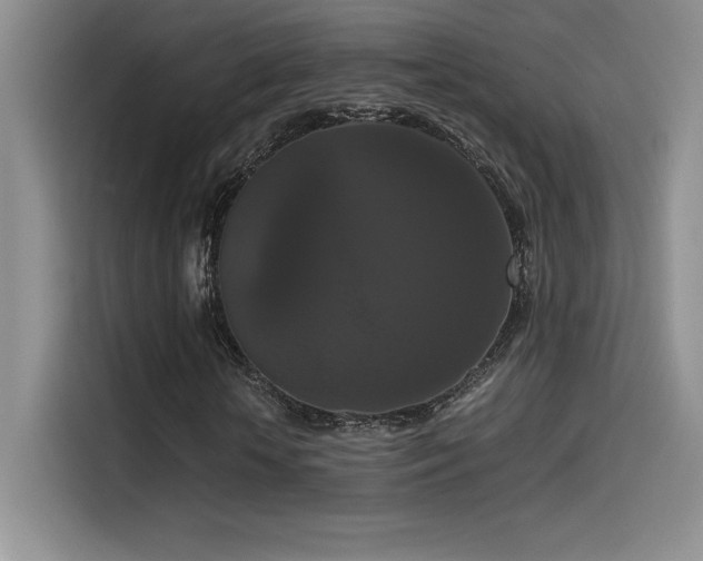 X0000114620818200910201130