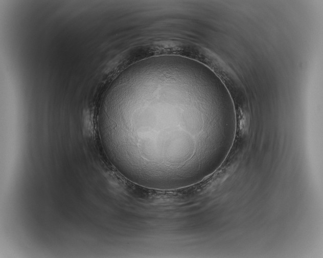 X0000114620819200910201130
