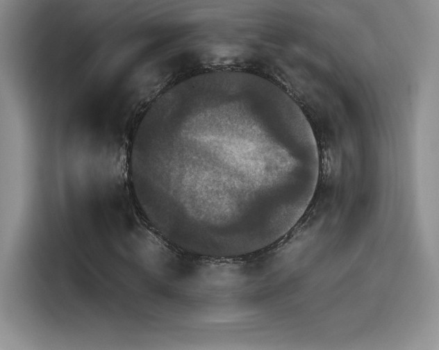 X0000114620820200910201131