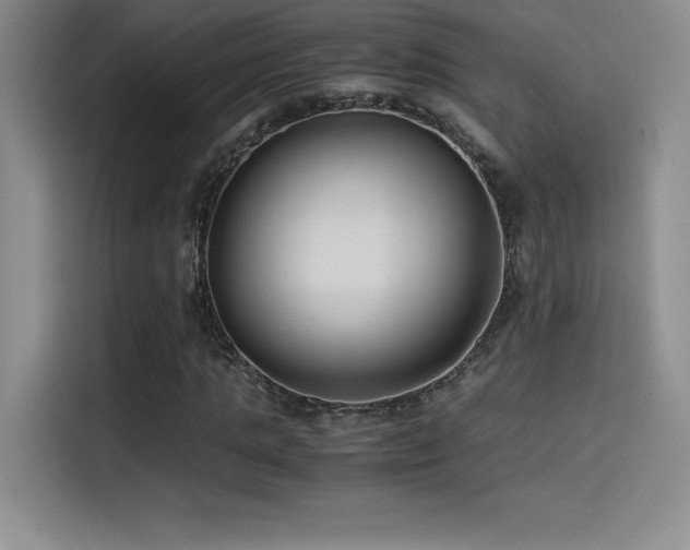 X0000114620821200910201131