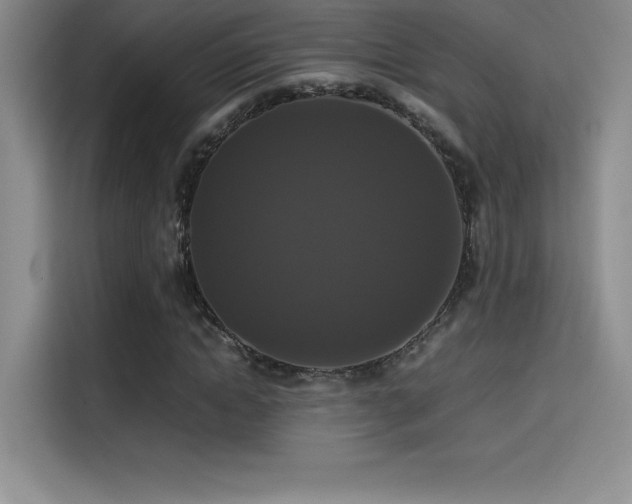X0000114620822200910201131