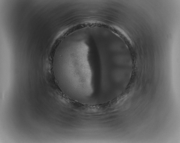 X0000114620823200910201131