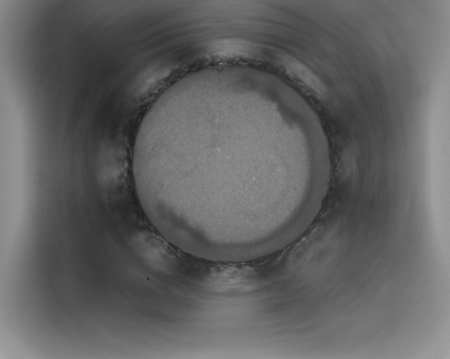 X0000114620824200910201131