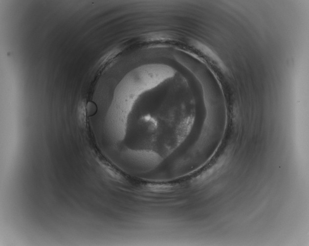 X0000114620825200910201131