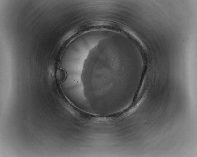 X0000114620826200910201131