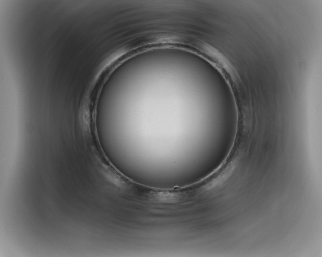 X0000114620827200910201131