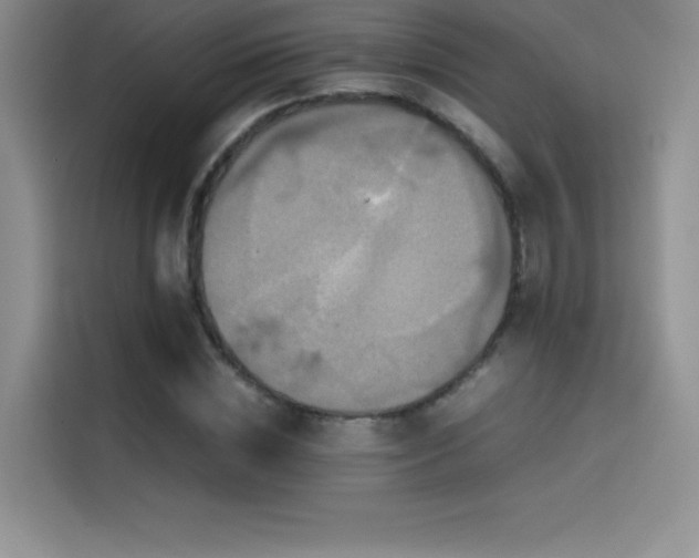 X0000114620828200910201131