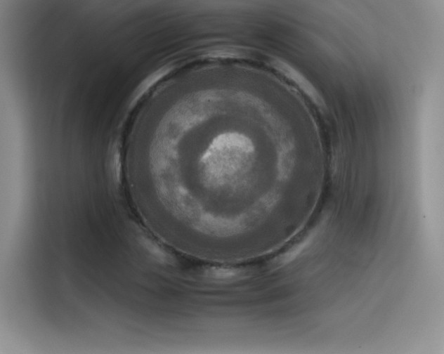 X0000114620829200910201131