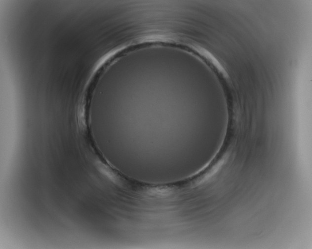 X0000114620830200910201131