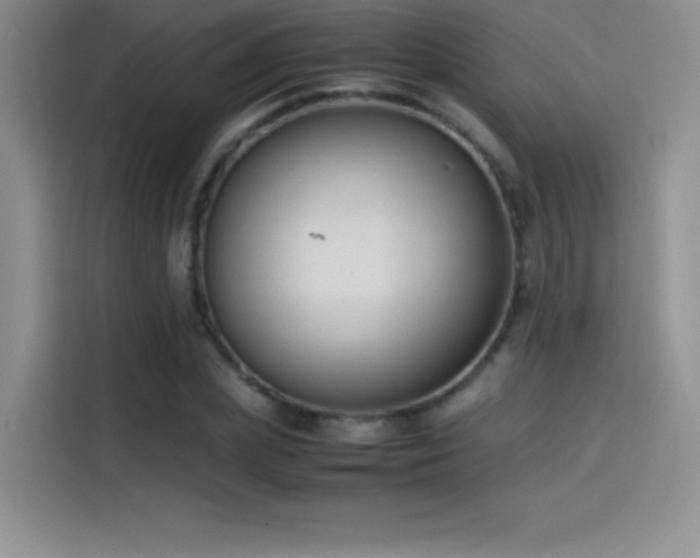 X0000114620831200910201131