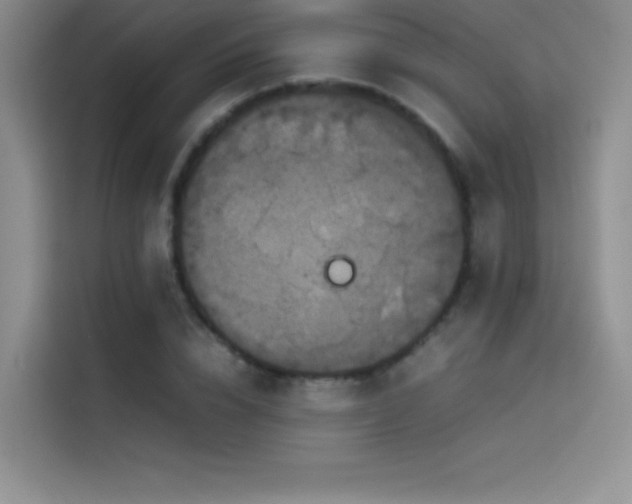 X0000114620832200910201131