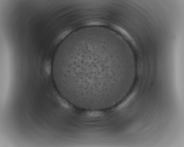 X0000114620833200910201131
