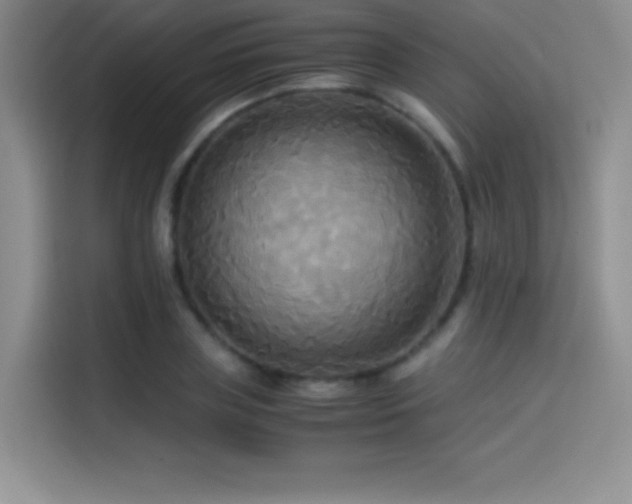 X0000114620835200910201131