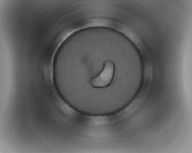 X0000114620836200910201131