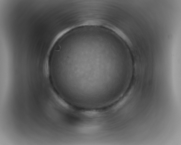 X0000114620838200910201131