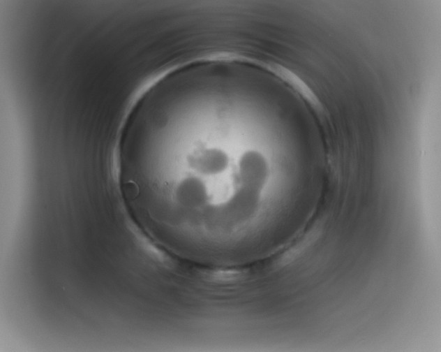 X0000114620839200910201131