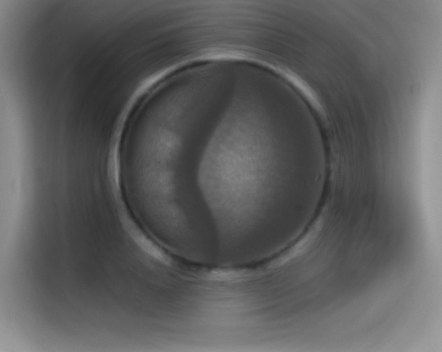 X0000114620840200910201131