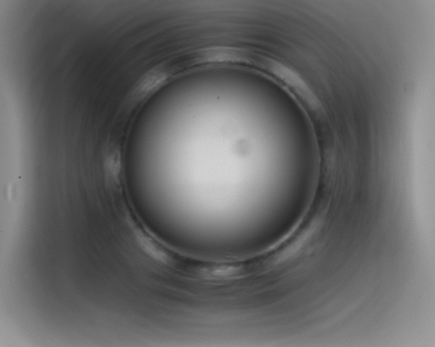 X0000114620841200910201131