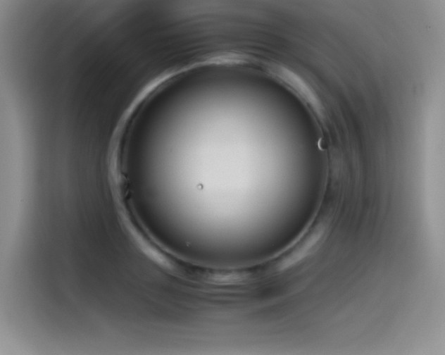 X0000114620843200910201131
