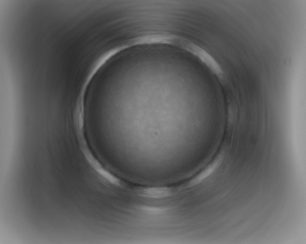 X0000114620844200910201131