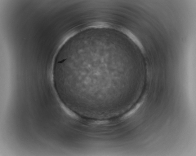 X0000114620845200910201131