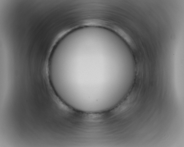 X0000114620848200910201131