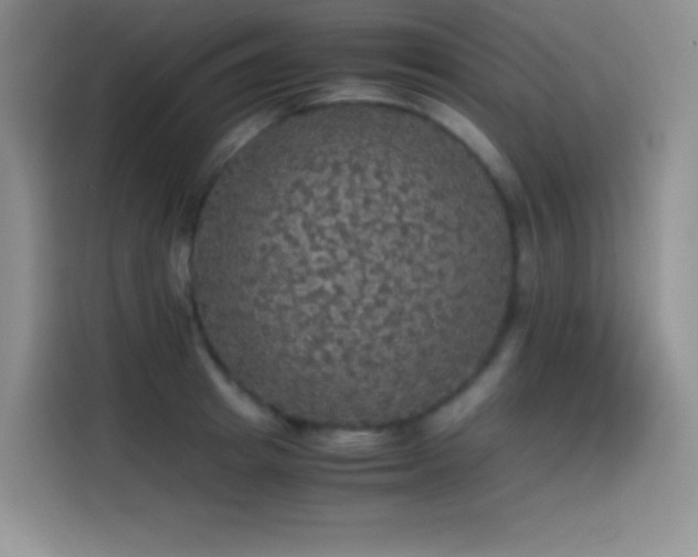 X0000114620849200910201131