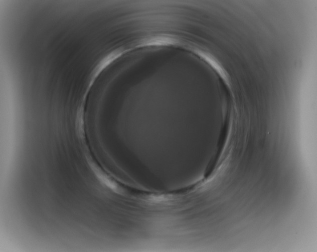 X0000114620850200910201131