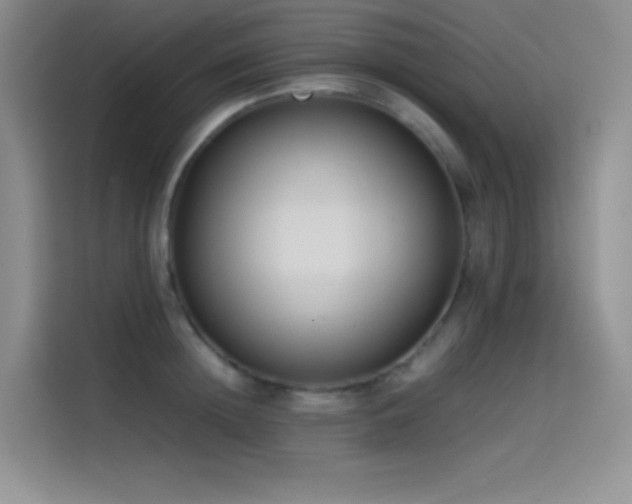 X0000114620852200910201131