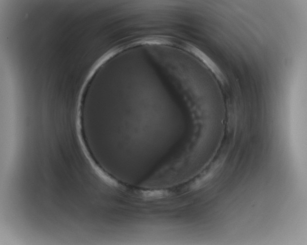 X0000114620853200910201131