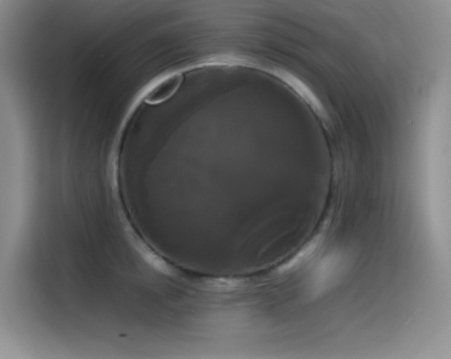 X0000114620854200910201131