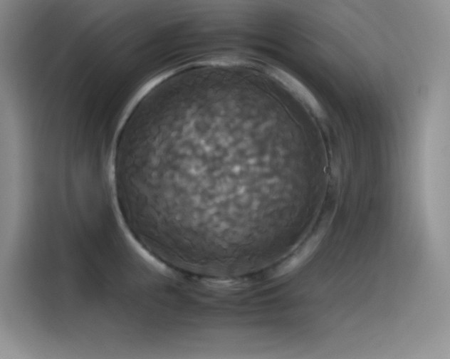 X0000114620855200910201131