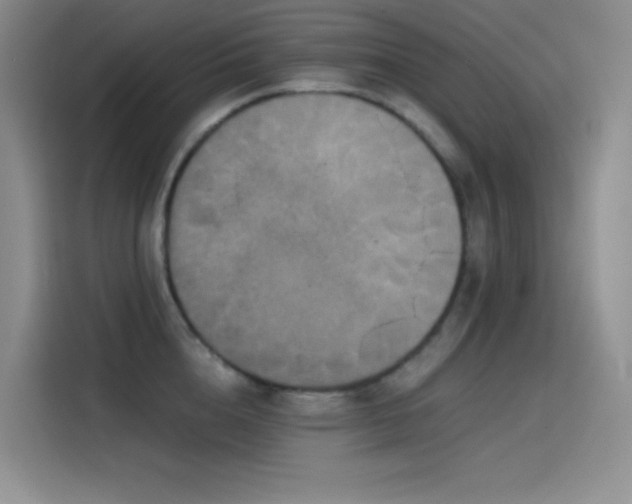 X0000114620856200910201131