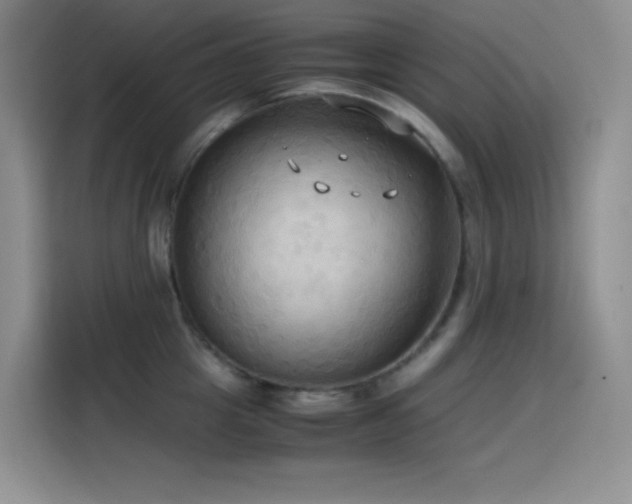 X0000114620857200910201131
