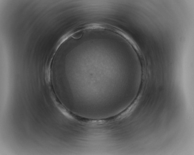 X0000114620858200910201131