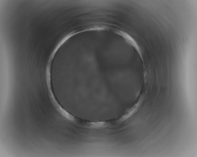X0000114620859200910201131
