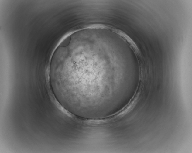 X0000114620860200910201131