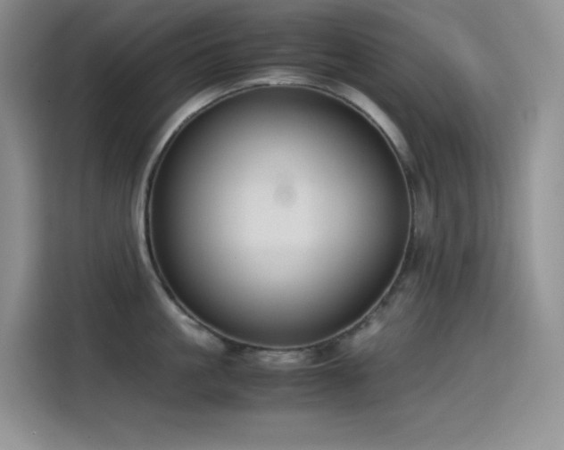 X0000114620861200910201131