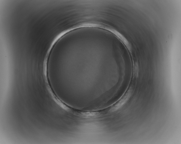X0000114620862200910201131