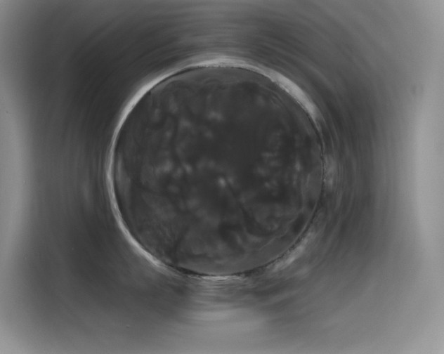 X0000114620863200910201131