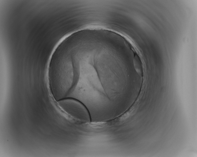 X0000114620864200910201131