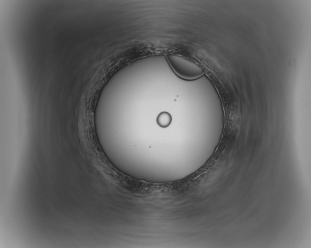 X0000114620865200910201130