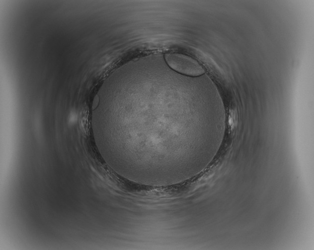X0000114620867200910201130