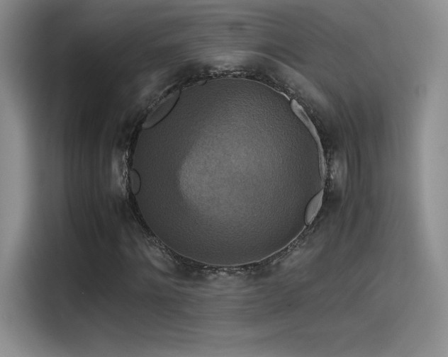 X0000114620868200910201130