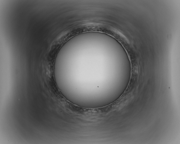 X0000114620869200910201130