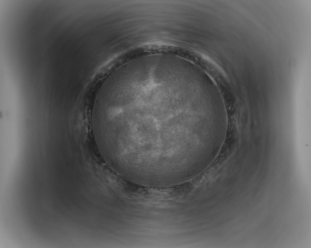 X0000114620870200910201130