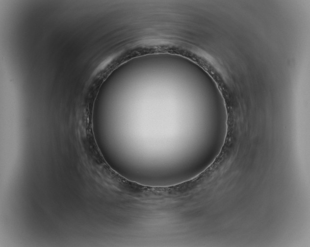 X0000114620871200910201130