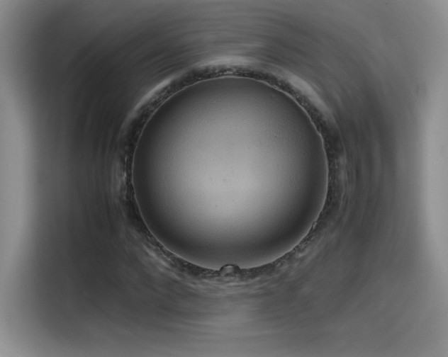 X0000114620872200910201130