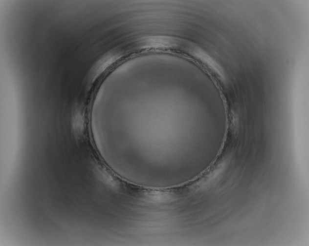 X0000114620874200910201130