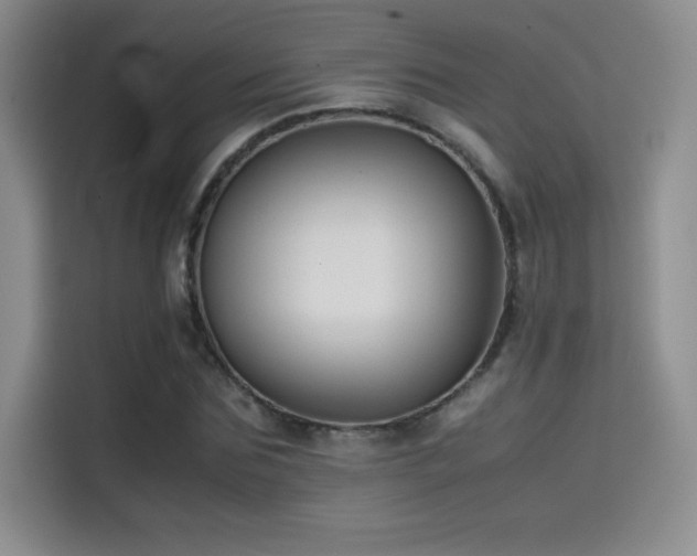 X0000114620875200910201130
